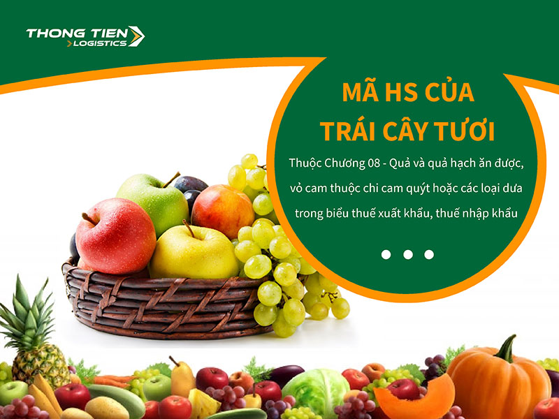 thủ tục nhập khẩu trái cây tươi