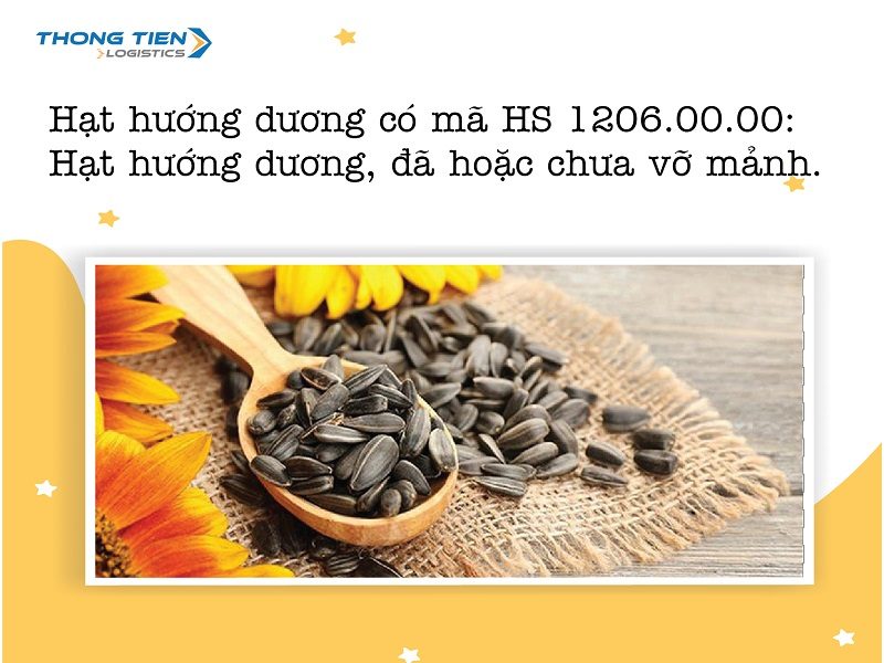 Thủ tục nhập khẩu hạt hướng dương