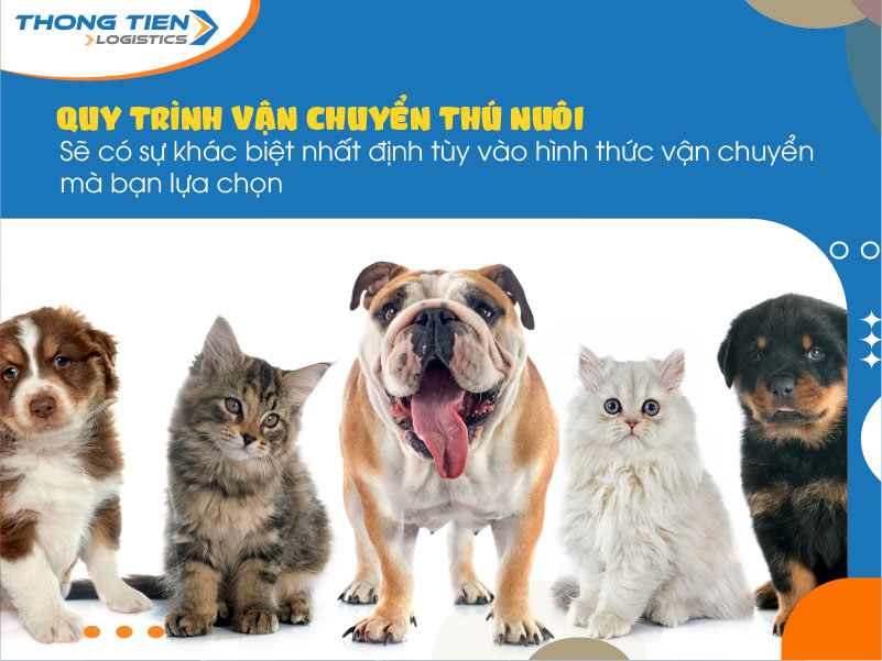 Vận chuyển thú nuôi