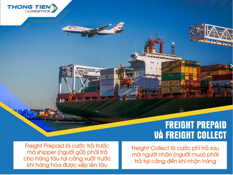Freight Prepaid và Freight Collect