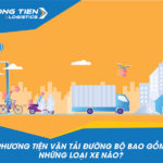 Vận tải đường bộ bao gồm những loại xe vận chuyển nào?