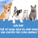 Giải đáp: Có thể sử dụng dịch vụ ship hàng để vận chuyển thú cưng không?
