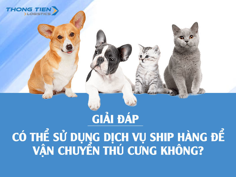 Có thể sử dụng dịch vụ ship hàng để vận chuyển thú cưng không