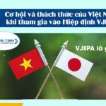 Cơ hội và thách thức của Việt Nam khi tham gia vào Hiệp định VJEPA