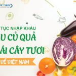 Thủ tục nhập khẩu rau củ quả, trái cây tươi về Việt Nam