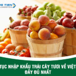 Thủ tục nhập khẩu trái cây tươi về Việt Nam đầy đủ và chi tiết nhất