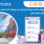 Các mẫu C/O được sử dụng trong xuất nhập khẩu phổ biến hiện nay