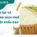 Thủ tục và chính sách thuế nhập khẩu gạo về Việt Nam