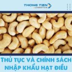 Thủ tục và chính sách nhập khẩu hạt điều mới nhất