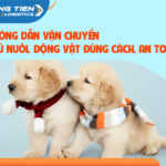 Hướng dẫn vận chuyển thú nuôi, động vật ĐÚNG CÁCH, AN TOÀN