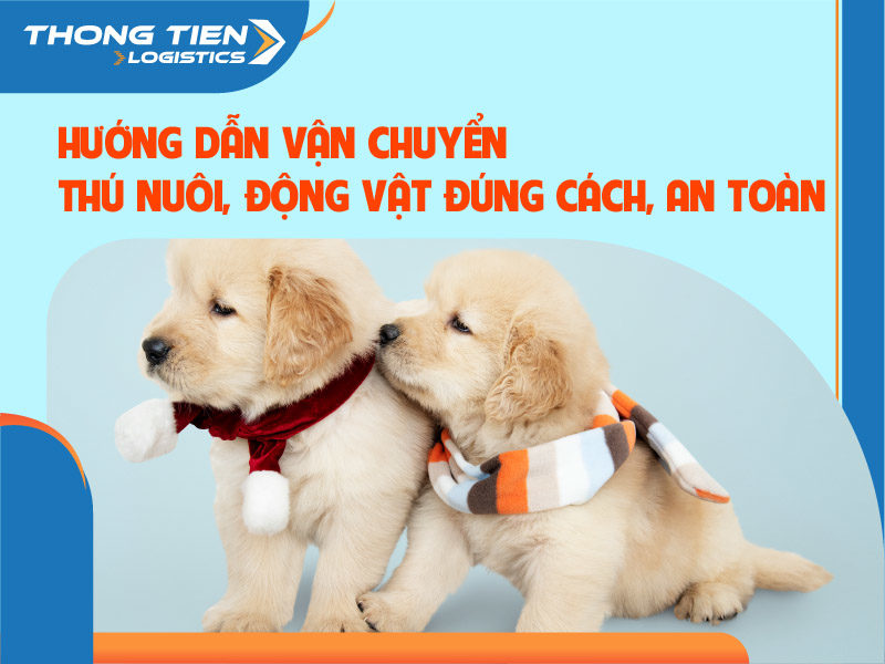 Vận chuyển thú nuôi