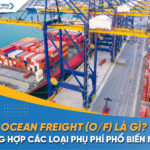 Ocean Freight (O/F) là gì? Tổng hợp các loại phụ phí phổ biến hiện nay