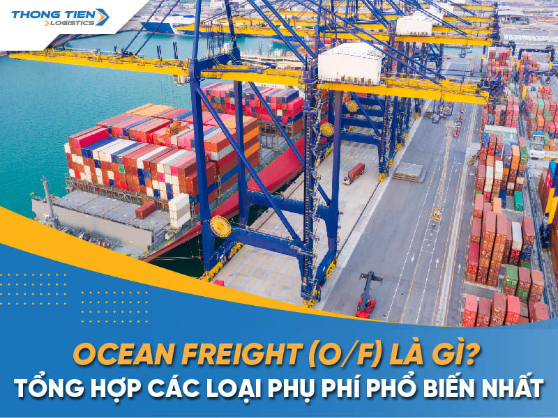 Ocean Freight